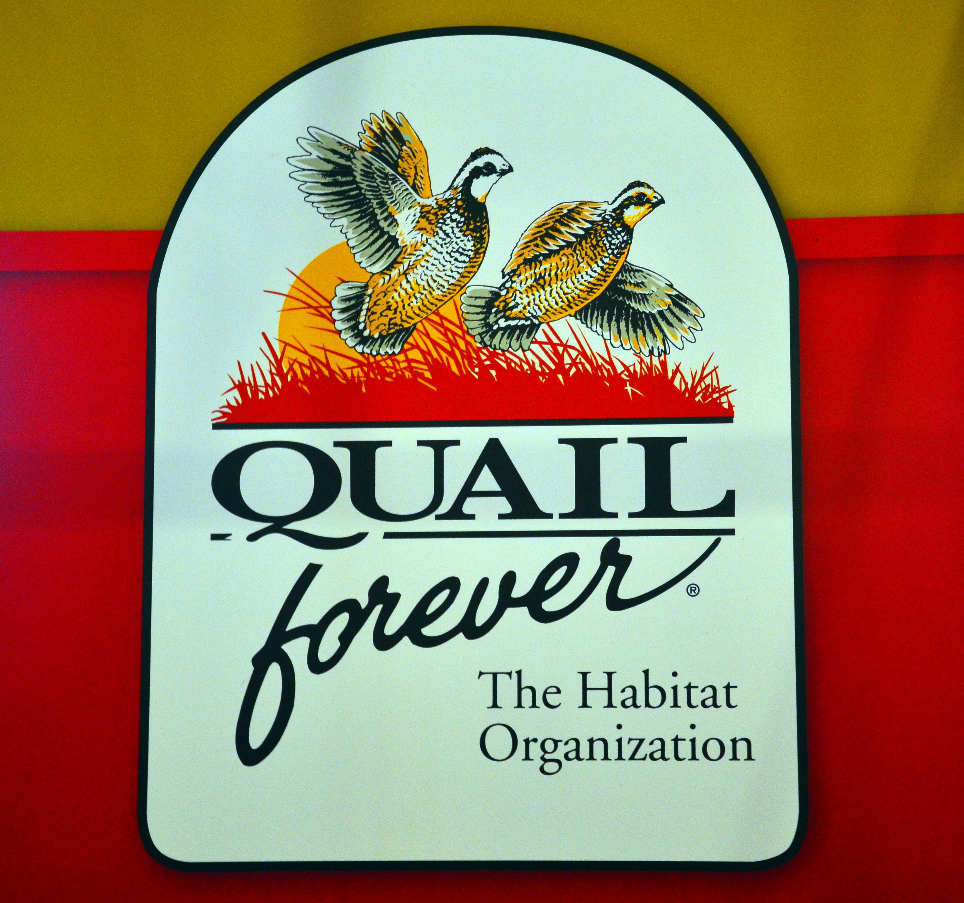 quail forever